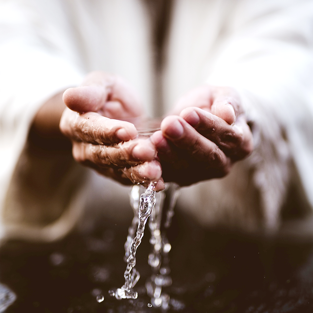 Purify and Cleanse Oils