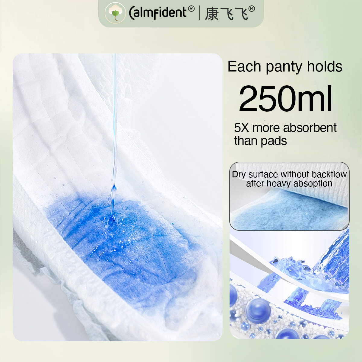 Calmfident Overnight Menstrual Panties (5 pants per pack)