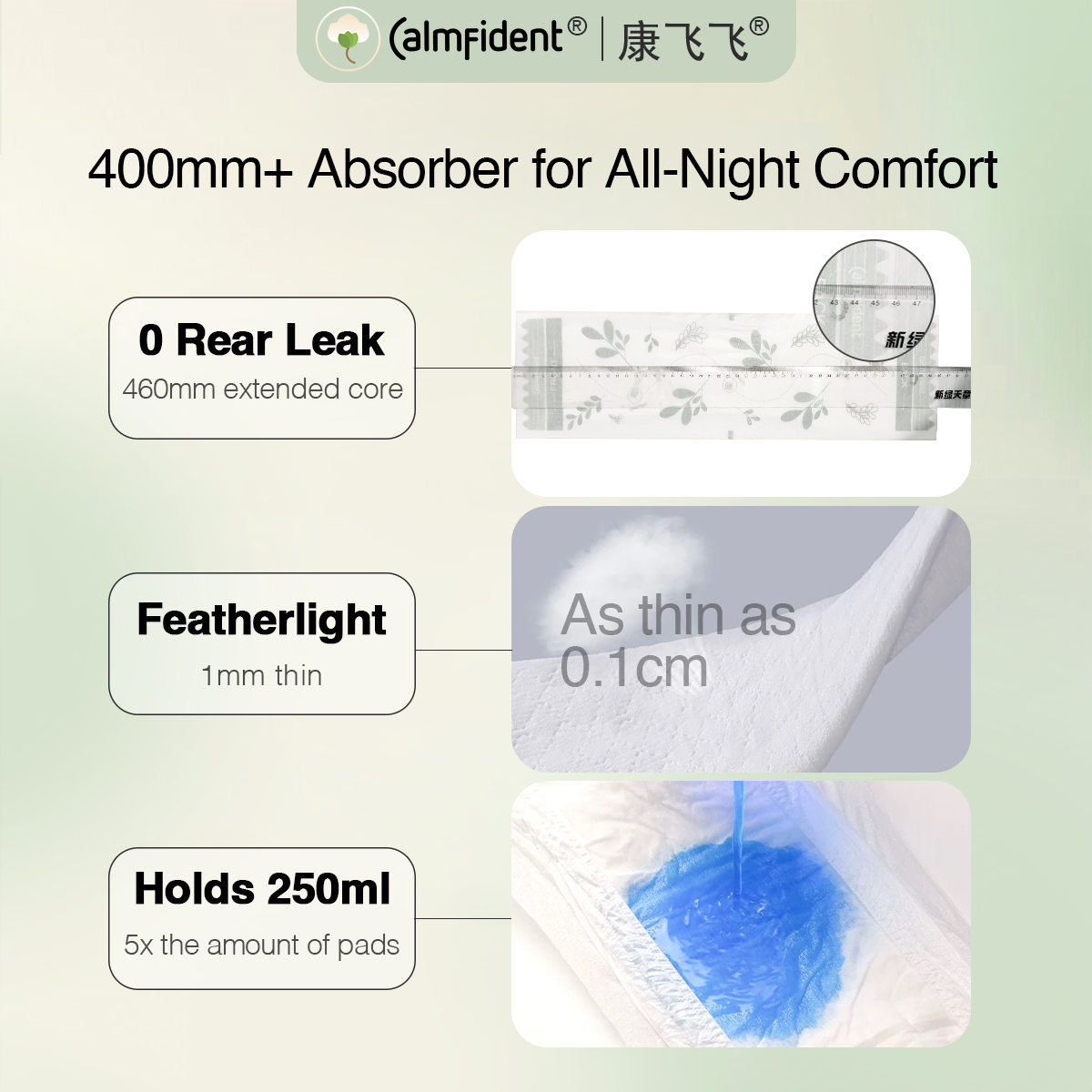 Calmfident Overnight Menstrual Panties (5 pants per pack)