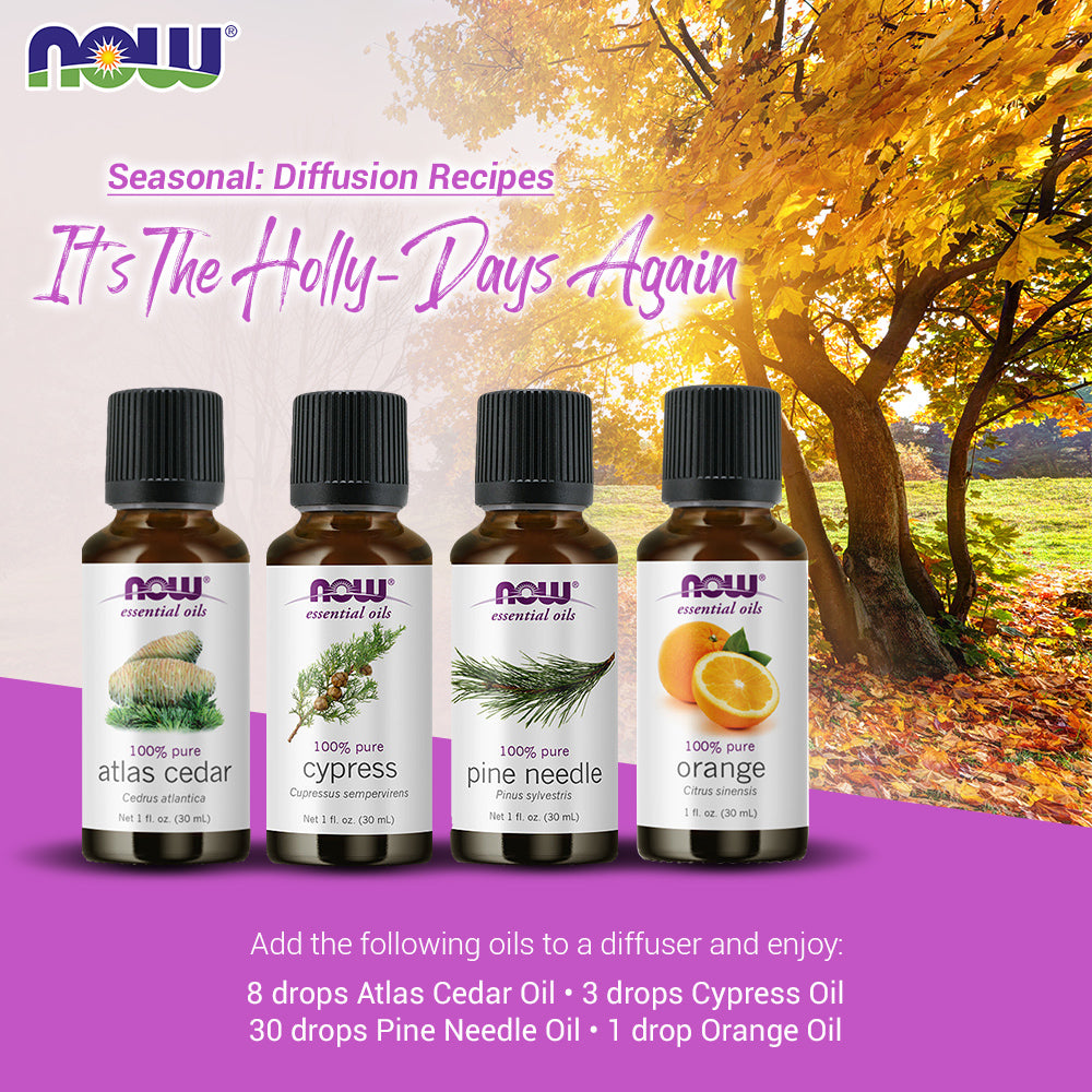 Now Essential Oils, 4 Variety of 30ml: It's The Holly-Days Again - Atlas Cedar, Cypress, Pine Needle, Orange