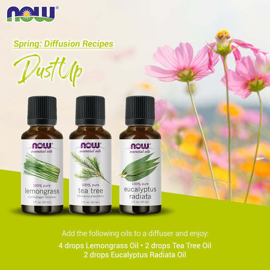 Now Essential Oils, 3 Variety of 30ml: Dust Up - Lemongrass, Tea Tree, Eucalyptus Radiata