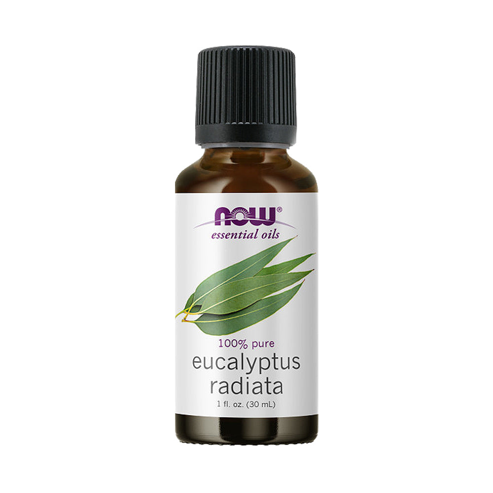 NOW Essential Oils, Eucalyptus Radiata Oil, Revitilizing Aromatherapy Scent, Steam Distilled, 100% Pure, Vegan, Child Resistant Cap, 1-Ounce (30ml) - Bloom Concept Malaysia