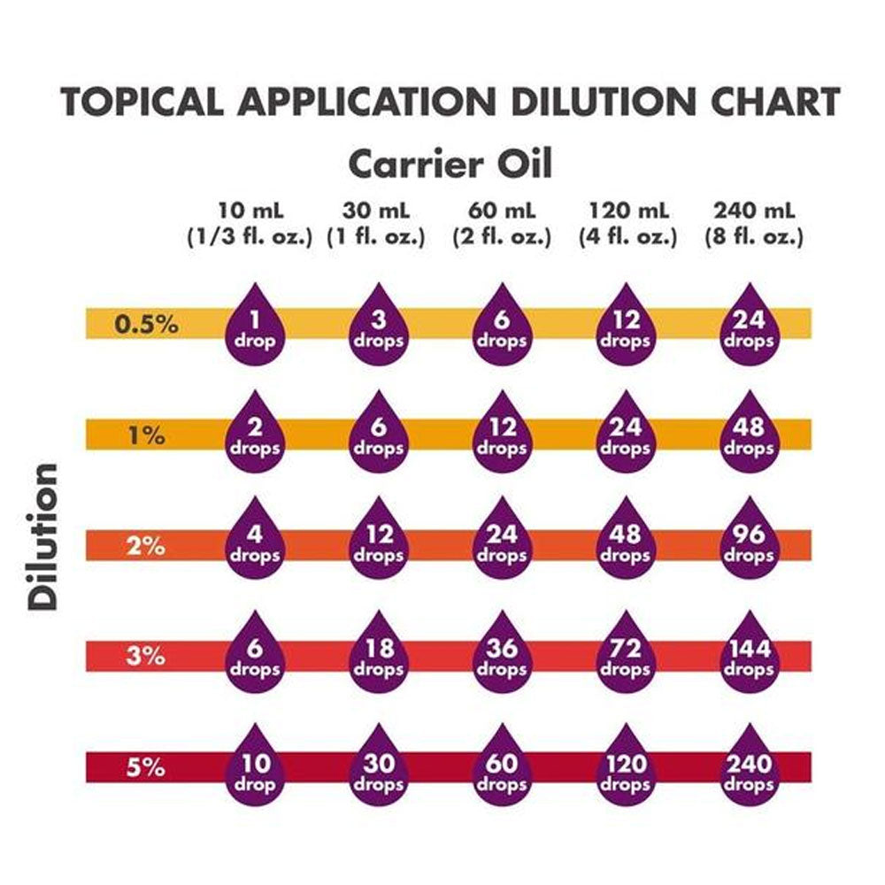 Now Essential Oils, 5 Variety of 30ml: Holly Jolly Holidays - Cinnamon Cassia, Ginger, Clove, Nutmeg, Lemon