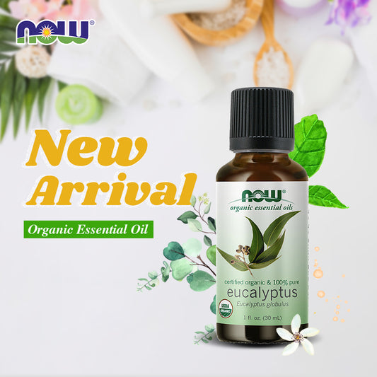NOW Essential Oils, Organic Eucalyptus Globulus Oil, Clarifying Aromatherapy Scent, Steam Distilled, 100% Pure, Vegan, Child Resistant Cap, 1-Ounce (30ml)