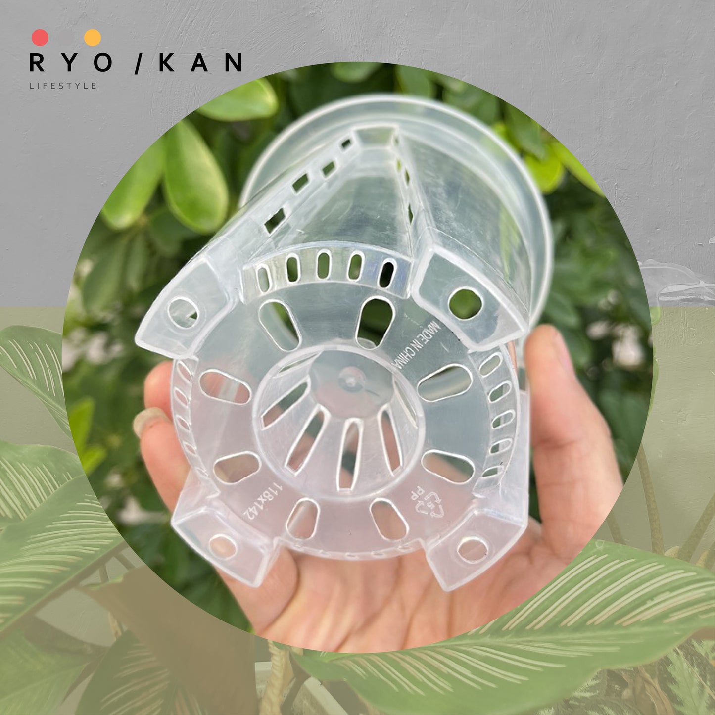[Ryokan] Transparent Pruning Pots - Set of 3 Value Pack.  Maximize airflow and drainage to promote root development. Durable thickened contruction & UV resistant material