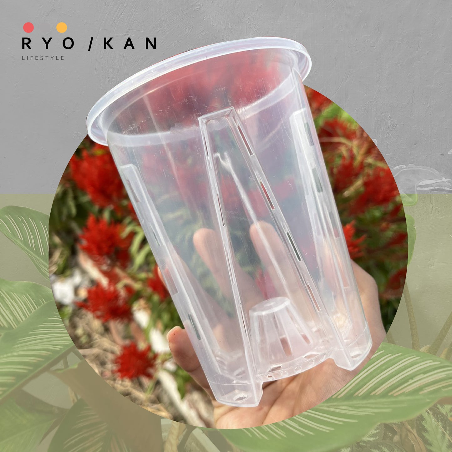 [Ryokan] Transparent Pruning Pots - Set of 3 Value Pack.  Maximize airflow and drainage to promote root development. Durable thickened contruction & UV resistant material