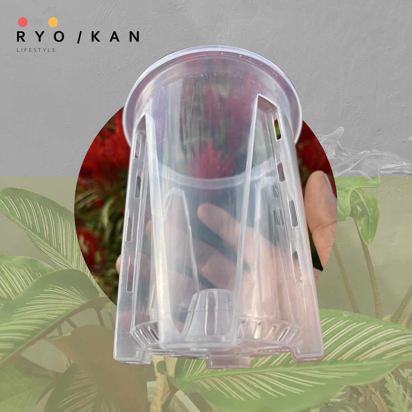 [Ryokan] Transparent Pruning Pots - Set of 3 Value Pack.  Maximize airflow and drainage to promote root development. Durable thickened contruction & UV resistant material