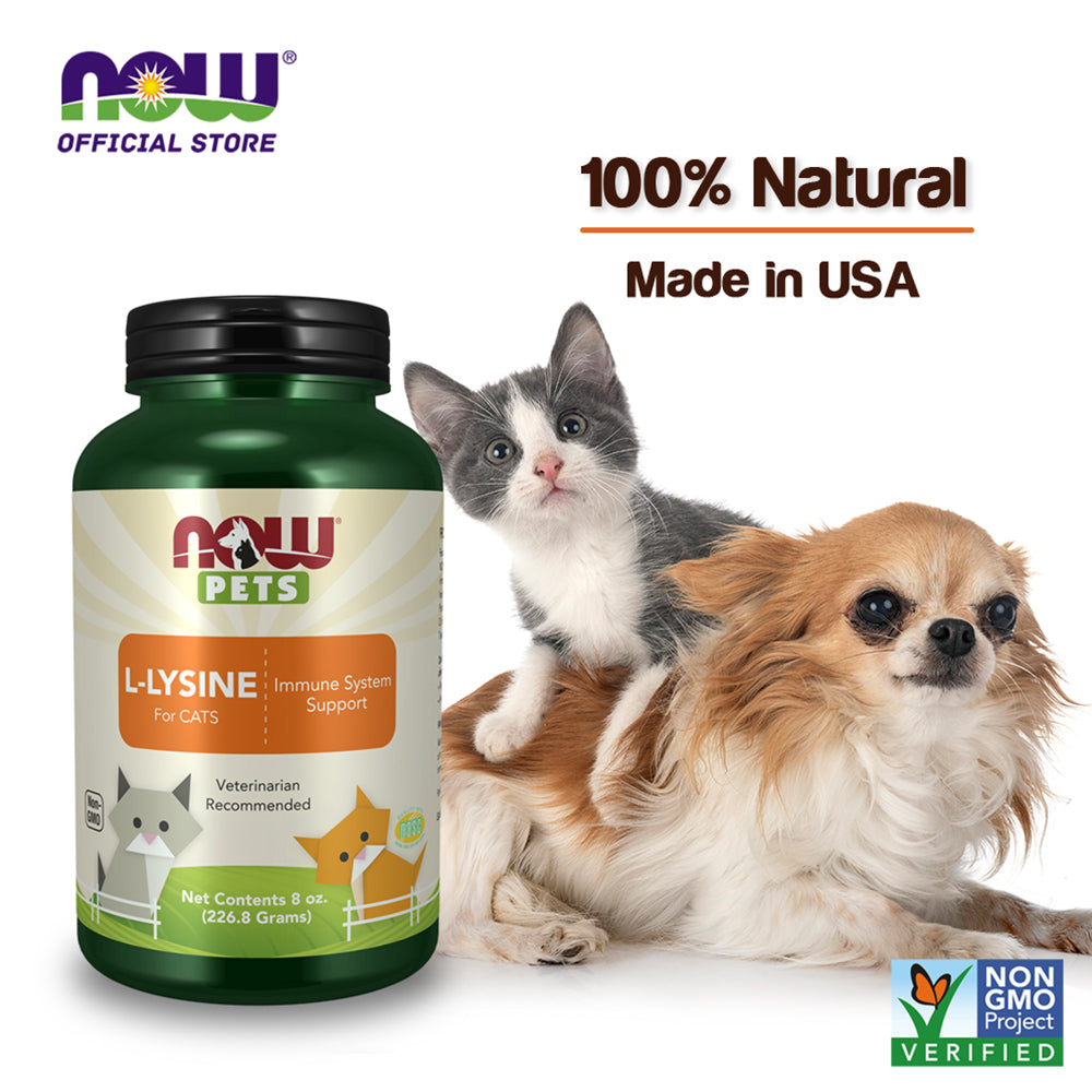 NOW Pet Health, L-Lysine Supplement, Powder, Formulated for Cats, NASC Certified, 8-Ounce (222.6 Grams)