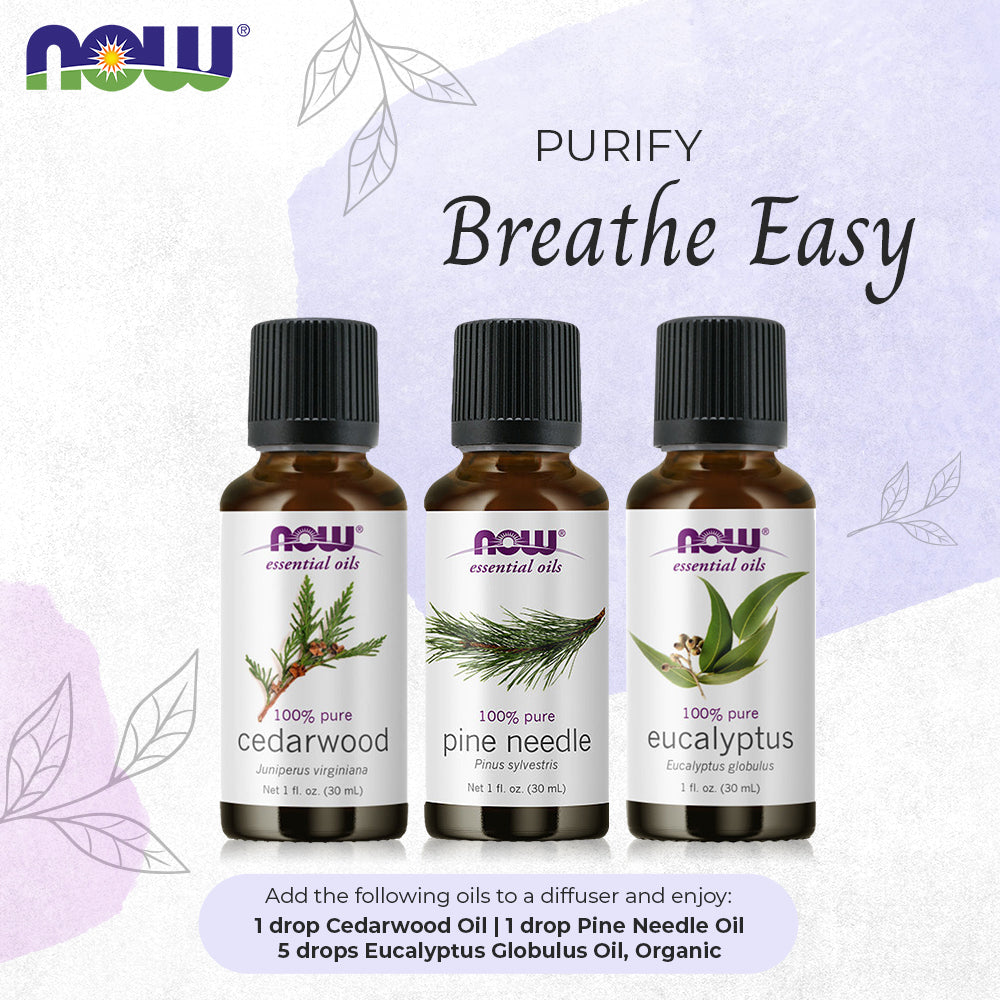 Now Essential Oils, 3 Variety of 30ml: Breathe Easy - Cedarwood, Pine Needle, Eucalyptus